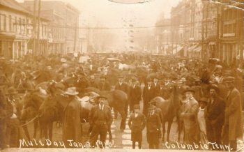 Mule Day, Columbia, Tennessee, 1910.