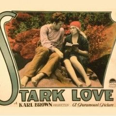 Stark Love at the Tennessee Theater