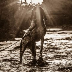 Good Dogs and Hard Times